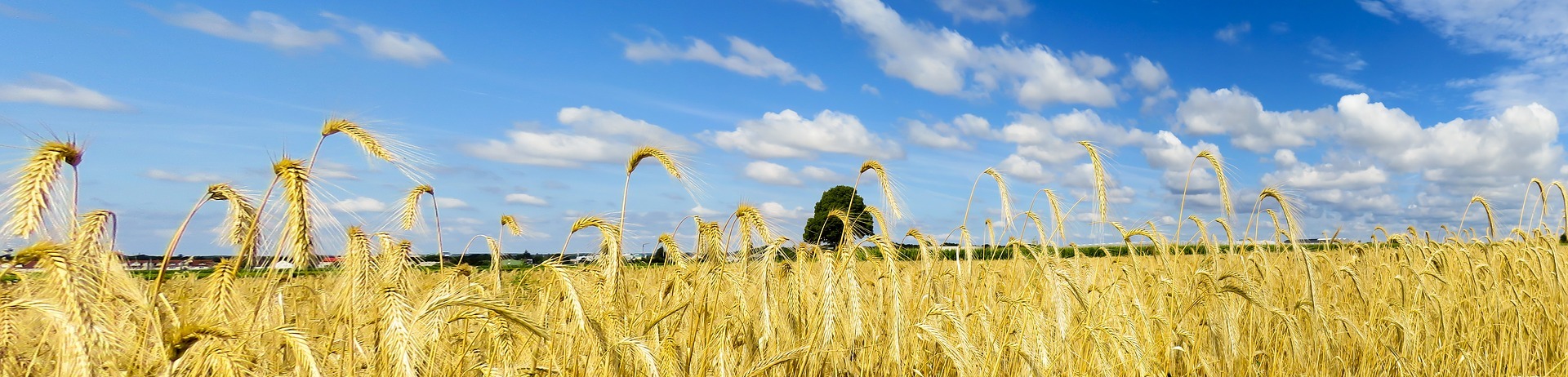 M2I Industrial ambition through excellence and innovation